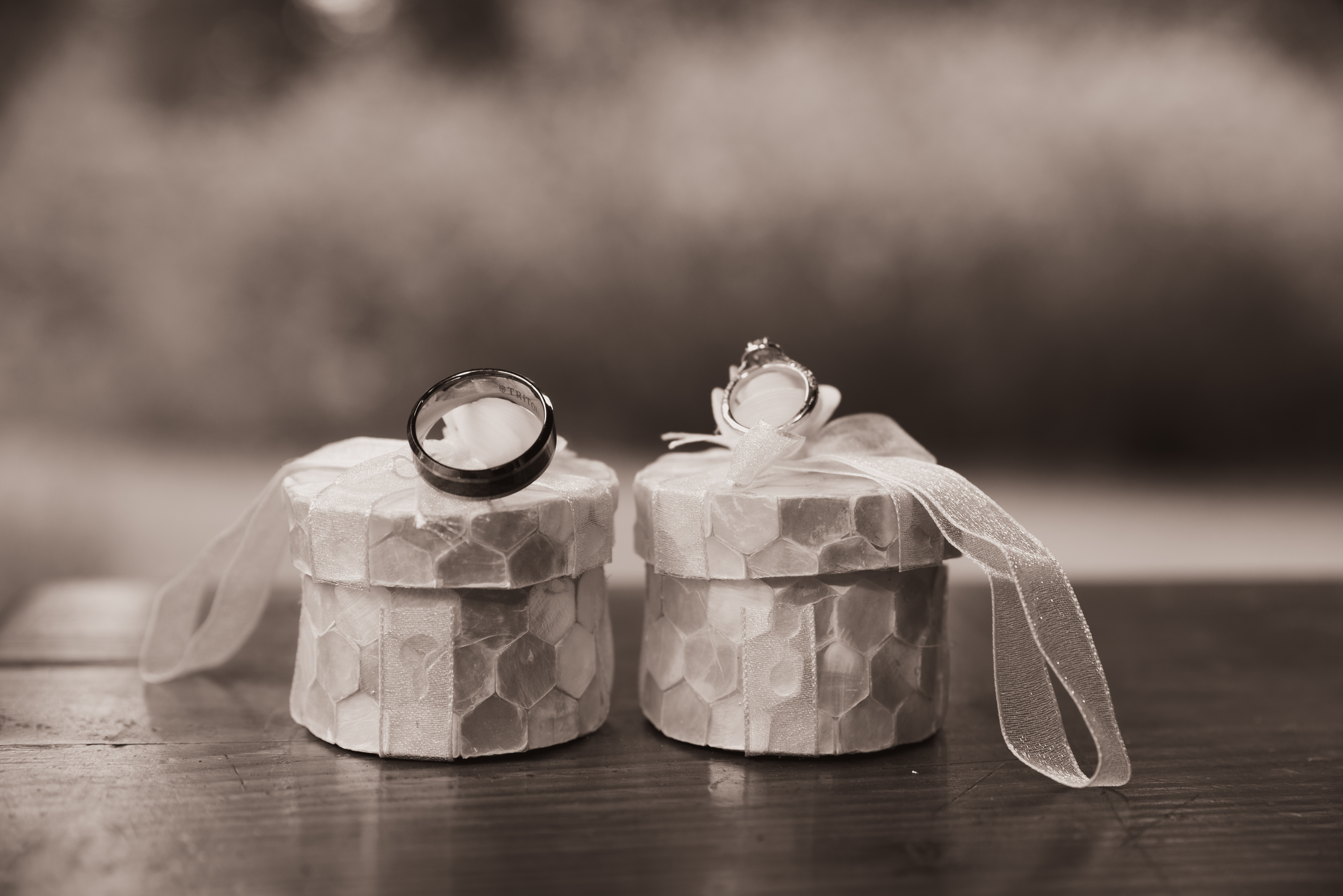 Contact Ambient Flare Photography - Portland OR